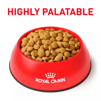 Product Royal Canin® Veterinary Diet Feline Glycobalance Adult Dry Cat Food