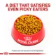 Product Royal Canin® Veterinary Diet Canine Hepatic Adult Dry Dog Food