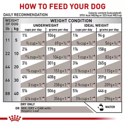 Product Royal Canin® Veterinary Diet Canine Hepatic Adult Dry Dog Food