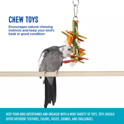 Product All Living Things® Hang Down Bird Toy
