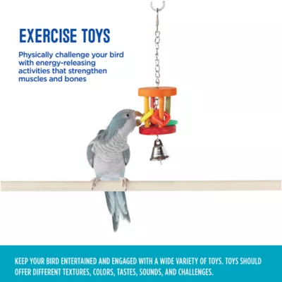 Product All Living Things® Hanging Barrel Bird Toy