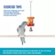 Product All Living Things® Hanging Barrel Bird Toy