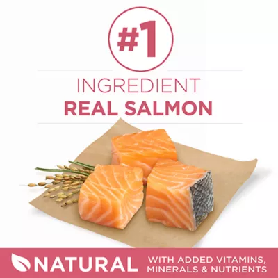 Product Purina ONE® +Plus SmartBlend Adult Dog Dry Food - Salmon, No Artificial Preservatives, With Vitamins