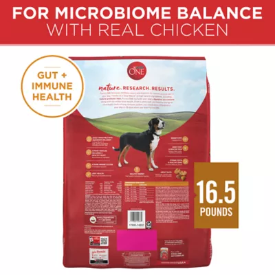 Product Purina® ONE® Adult Dog Dry Food - Chicken & Rice, High-Protein