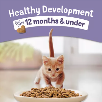 Purina® Kitten Chow® Kitten Cat Dry Food Chicken, Healthy