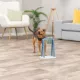 Product TRIXIE Mad Scientist Dog Toy