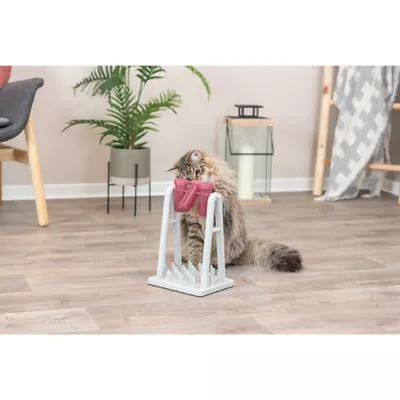Product TRIXIE Mad Scientist Beaker Cat Toy