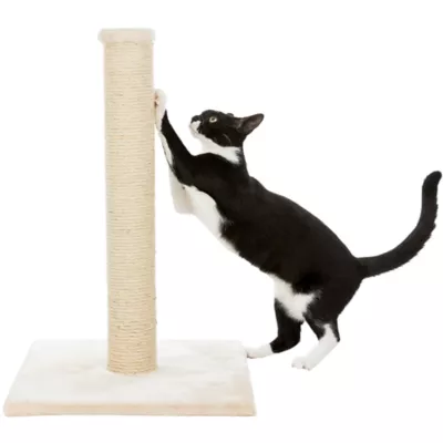 Product  TRIXIE Parla Cat Scratching Post
