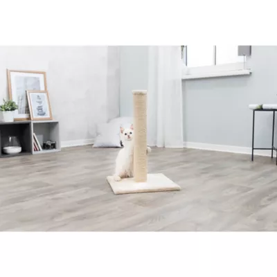 Product  TRIXIE Parla Cat Scratching Post