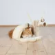 Product TRIXIE Tavira Kitten Scratcher