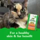 Product Greenies™ Feline Greenies SmartBites Skin and Fur Health Adult Cat Treats - Chicken