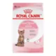 Product Royal Canin Feline Kitten Dry Cat Food, Health Nutrition - Spayed/Neutered