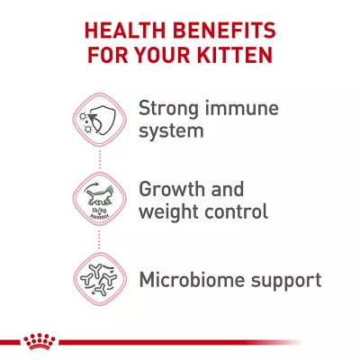 Product Royal Canin Feline Kitten Dry Cat Food, Health Nutrition - Spayed/Neutered