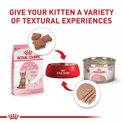 Product Royal Canin Feline Kitten Dry Cat Food, Health Nutrition - Spayed/Neutered
