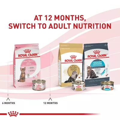 Product Royal Canin Feline Kitten Dry Cat Food, Health Nutrition - Spayed/Neutered