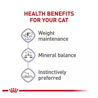 Product Royal Canin® Feline Health Nutrition Spayed & Neutered Adult Cat Wet Food - Slices in Gravy, 3 Oz