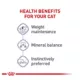 Product Royal Canin® Feline Health Nutrition Spayed & Neutered Adult Cat Wet Food - Slices in Gravy, 3 Oz
