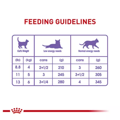 Product Royal Canin® Feline Health Nutrition Spayed & Neutered Adult Cat Wet Food - Slices in Gravy, 3 Oz