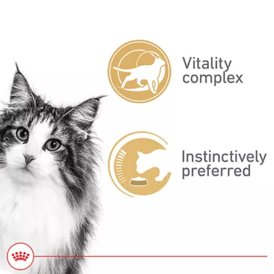 Product Royal Canin® Feline Health Nutrition Instinctive Adult 7+ Wet Cat Food - Slices in Gravy, 3 Oz