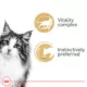 Product Royal Canin® Feline Health Nutrition Instinctive Adult 7+ Wet Cat Food - Slices in Gravy, 3 Oz