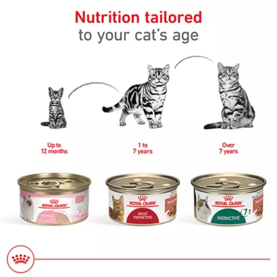 Product Royal Canin® Feline Health Nutrition Instinctive Adult 7+ Wet Cat Food - Slices in Gravy, 3 Oz