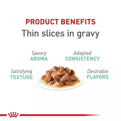 Product Royal Canin® Feline Care Nutrition Digestive Care Adult Cat Wet Food - Thin Slices in Gravy, 3 Oz