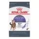 Product Royal Canin Feline Adult Dry Cat Food Care Nutrition, Appetite Control Care