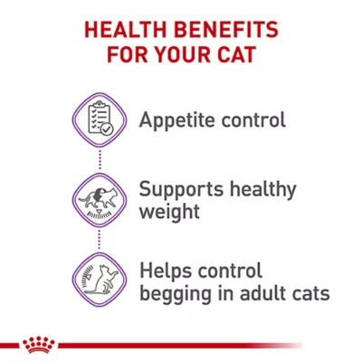 Product Royal Canin Feline Adult Dry Cat Food Care Nutrition, Appetite Control Care