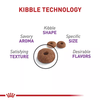 Product Royal Canin Feline Adult Dry Cat Food Care Nutrition, Appetite Control Care