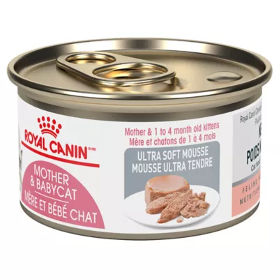 Royal Canin Feline Mother Babycat Ultra Soft Wet Cat Food Health