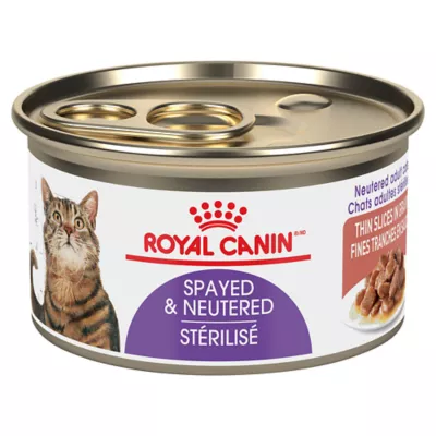 Product Royal Canin Feline Adult Wet Cat Food Spayed/Neutered Health Nutrition - Thin Slices in Gravy
