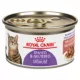 Product Royal Canin Feline Adult Wet Cat Food Spayed/Neutered Health Nutrition - Thin Slices in Gravy
