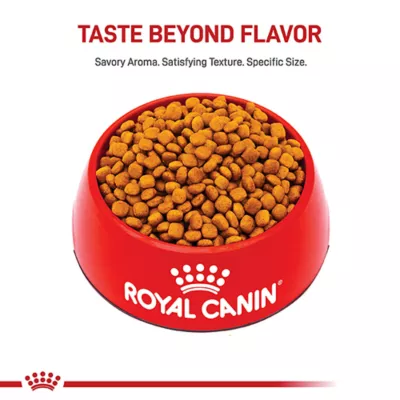 Product Royal Canin® Breed Health Nutrition® Golden Retriever Breed Specific Puppy Dog Dry Food - 30 lb
