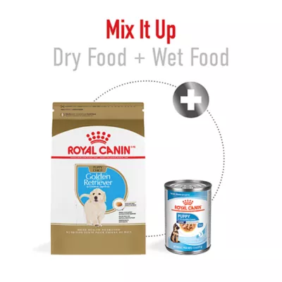 Product Royal Canin® Breed Health Nutrition® Golden Retriever Breed Specific Puppy Dog Dry Food - 30 lb