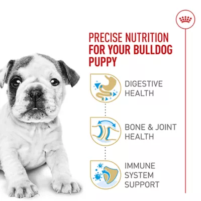Product Royal Canin® Breed Health Nutrition® Bulldog Breed Specific Puppy Dog Dry Food - 30 lb