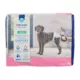 Product Top Paw® Disposable Dog Diapers - 12 Pack