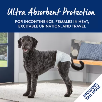 Product Top Paw® Disposable Dog Diapers - 12 Pack