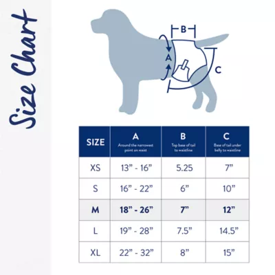 Product Top Paw® Disposable Dog Diapers - 12 Pack