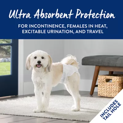 Product Top Paw® Disposable Dog Diapers - 12 Pack