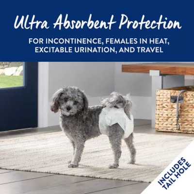 Product Top Paw® Disposable Dog Diapers - 12 Pack