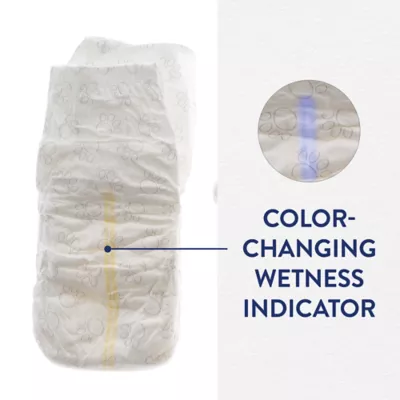 Product Top Paw Disposable Diapers 30 Pack