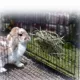 Product Precision Pet Products® Hay Rack