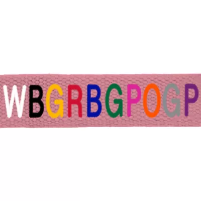 Product Coastal Pet Products Personalized Eco-Friendly Dog Leash: 6-ft long