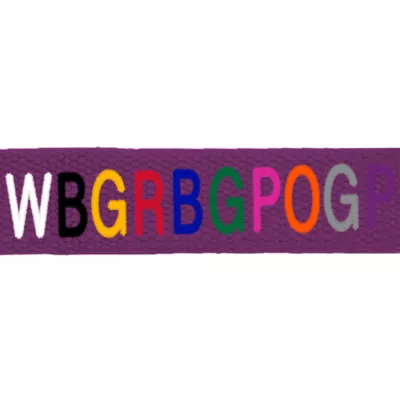 Product Coastal Pet Products Personalized Eco-Friendly Dog Leash: 6-ft long