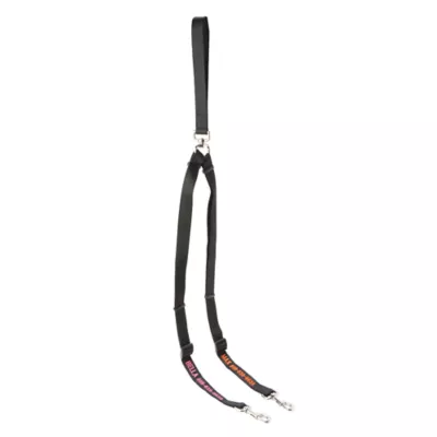 Product Coastal Pet Products Personalized Double Walker Dog Leash: 4-ft long