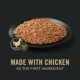 Product Purina Pro Plan Complete Essentials Adult Wet Dog Food - Grain Free, Chicken & Carrots, 13 oz