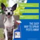 Product Adams™ Plus Flea & Tick Spray