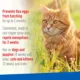 Product Adams™ Plus Flea & Tick Spray