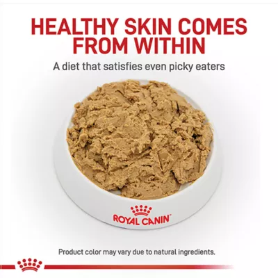 Product Royal Canin® Veterinary Diet Canine Hydrolyzed Protein Adult Dog Loaf in Sauce Food  13.7 oz can