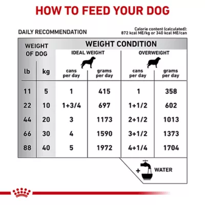 Product Royal Canin® Veterinary Diet Canine Hydrolyzed Protein Adult Dog Loaf in Sauce Food  13.7 oz can